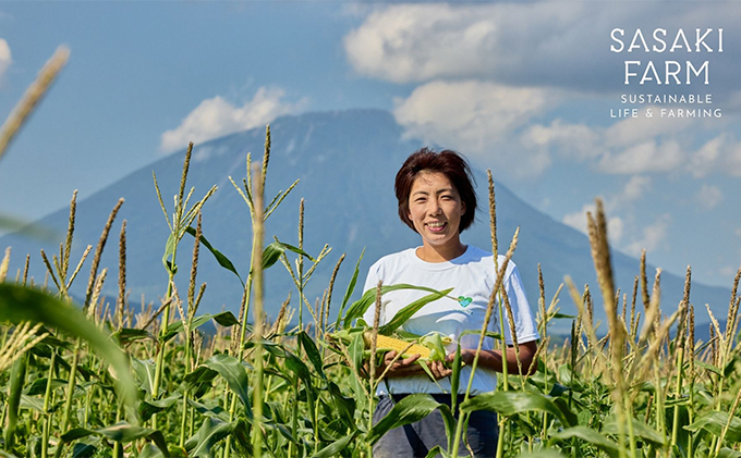 北海道産 とうもろこし 4kg前後 12-14本 8月30日から9月末頃まで順次出荷 北海道 トウモロコシ とうきび 旬 完熟 朝もぎ 野菜 産地直送 お取り寄せ 佐々木ファーム 送料無料 洞爺湖