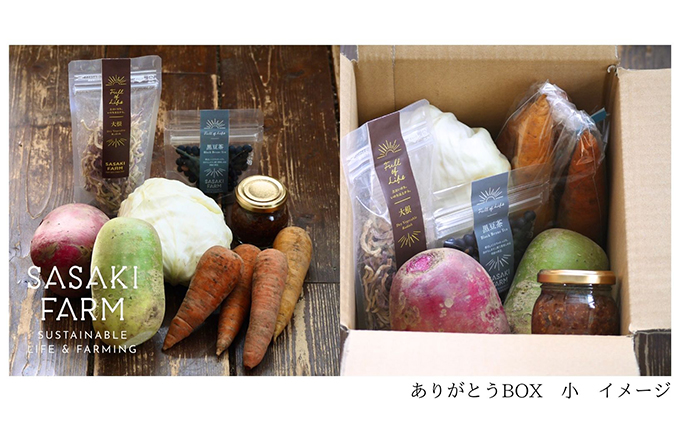 旬の野菜詰め合わせ ～ありがとうBOX2025・小～ 12月1日～1月31日頃お届け 北海道 野菜 やさい 詰め合わせ セット 北海道産 常備菜 加工品 自然栽培 佐々木ファーム 産地直送 洞爺湖町