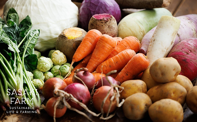 旬の野菜詰め合わせ ～ありがとうBOX2025・小～ 12月1日～1月31日頃お届け 北海道 野菜 やさい 詰め合わせ セット 北海道産 常備菜 加工品 自然栽培 佐々木ファーム 産地直送 洞爺湖町