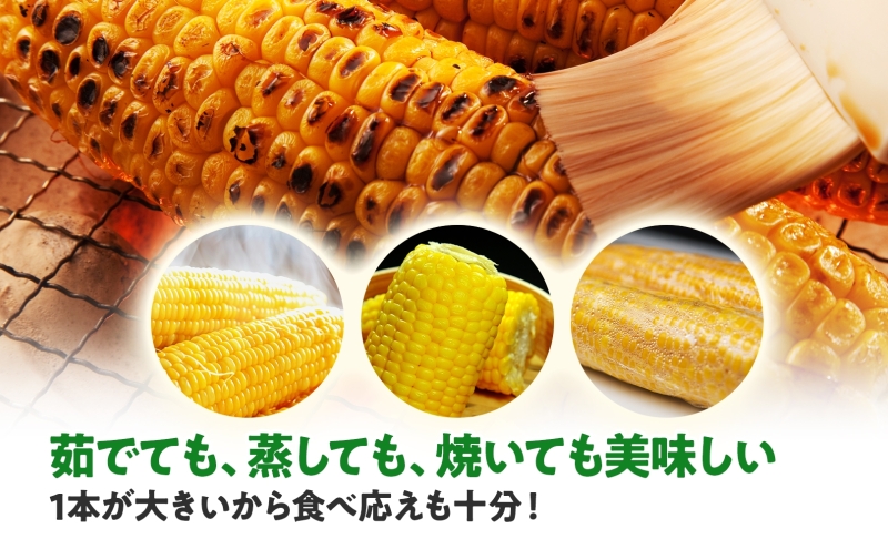 北海道産 スイート コーン めぐみゴールド 2Lサイズ 20本 先行受付 2026年8月上旬～下旬頃お届け とうもろこし 恵味 めぐみ トウモロコシ 旬 完熟 朝もぎ 野菜 産地直送 お取り寄せ 北海道 丸田農園 洞爺湖