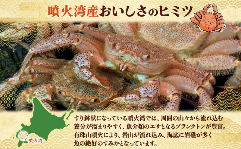 先行受付 北海道 噴火湾産 活毛がに 450g前後×2尾 2026年6月下旬～7月上旬お届け 北海道産 旬 新鮮 毛がに かに カニ 蟹 毛ガニ 毛蟹 カニ味噌 天然 噴火湾 産地直送 お取り寄せ 冷蔵 洞爺湖町