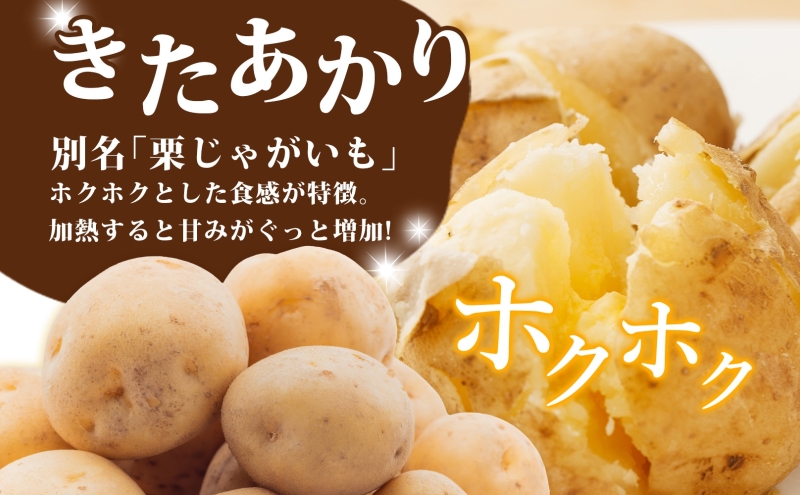 じゃがいも きたあかり 10kg 10月初旬～12月中旬お届け 栗じゃがいも ホクホク 甘い ポテトサラダ コロッケ 産地直送 お取り寄せ 国産 小野寺農園 北海道 洞爺湖町