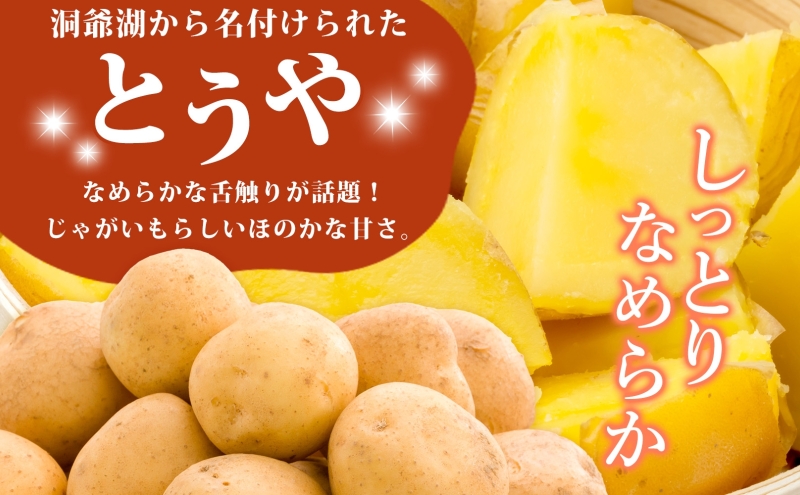 じゃがいも とうや 10kg 10月初旬～12月中旬ごろお届け ホクホク 甘い ポテトサラダ コロッケ 産地直送 お取り寄せ 国産 小野寺農園 北海道 洞爺湖町
