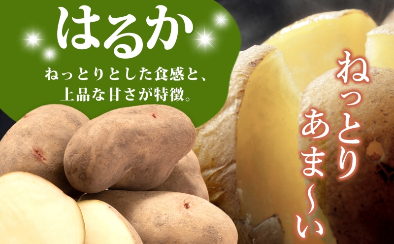 じゃがいも はるか 10kg しっとり 甘い 10月初旬～12月中旬ごろお届け カレーライス 肉じゃが 産地直送 お取り寄せ 国産 小野寺農園 北海道 洞爺湖町