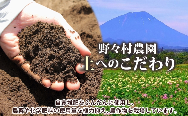 北海道 洞爺湖町産 新じゃがいも とうや 約10kg  Mサイズ以上混載 北海道産 新じゃが じゃがいも いも ジャガイモ 馬鈴薯 黄爵 芋 旬 野菜 農作物 送料無料 産地直送 常温 洞爺湖町