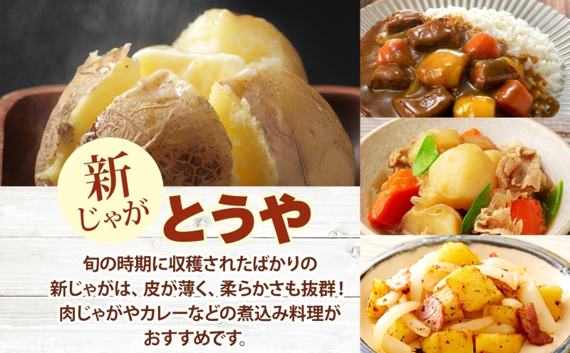 北海道 洞爺湖町産 新じゃがいも とうや 約10kg  Mサイズ以上混載 北海道産 新じゃが じゃがいも いも ジャガイモ 馬鈴薯 黄爵 芋 旬 野菜 農作物 送料無料 産地直送 常温 洞爺湖町