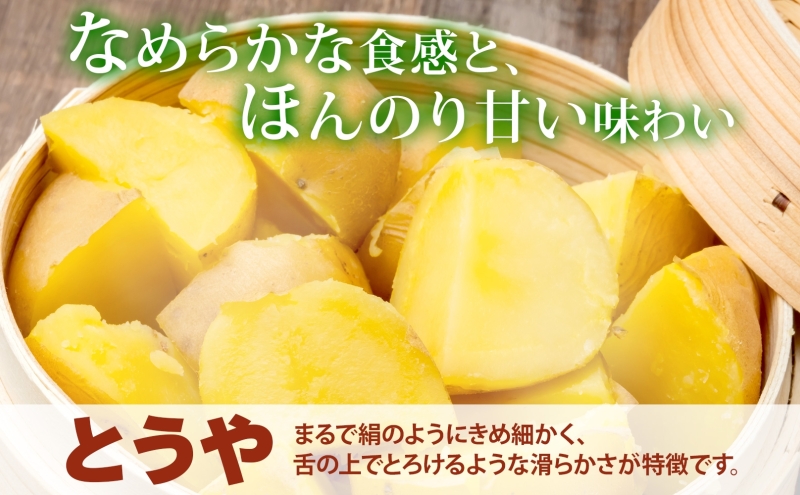 北海道 洞爺湖町産 新じゃがいも とうや 約20kg  Mサイズ以上混載 北海道産 新じゃが じゃがいも いも ジャガイモ 馬鈴薯 黄爵 芋 旬 野菜 農作物 送料無料 産地直送 常温 洞爺湖町