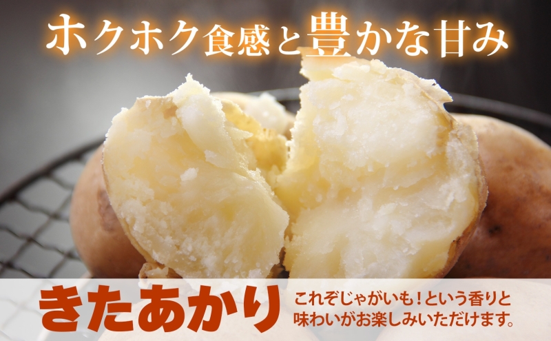 北海道 洞爺湖町産 新じゃがいも きたあかり 約10kg  Mサイズ以上混載 北海道産 新じゃが じゃがいも いも ジャガイモ 馬鈴薯 黄爵 芋 旬 野菜 農作物 送料無料 産地直送 常温 洞爺湖町