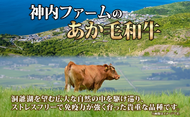 洞爺 あか牛 ばら肉 ひき肉セット　計600g 小分けパック
