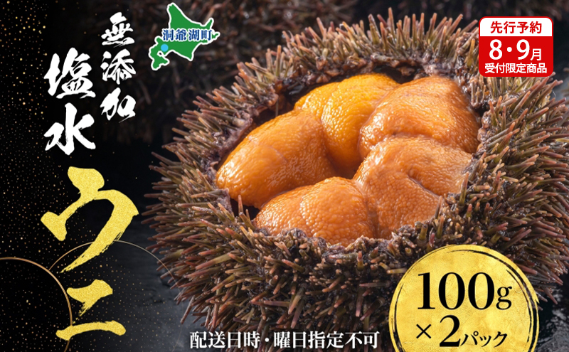 石鯛　活バフンウニ 2k　クール便 石鯛 活バフンウニ 釣りエサ用 2キロ 四国/関西/中国地方限定