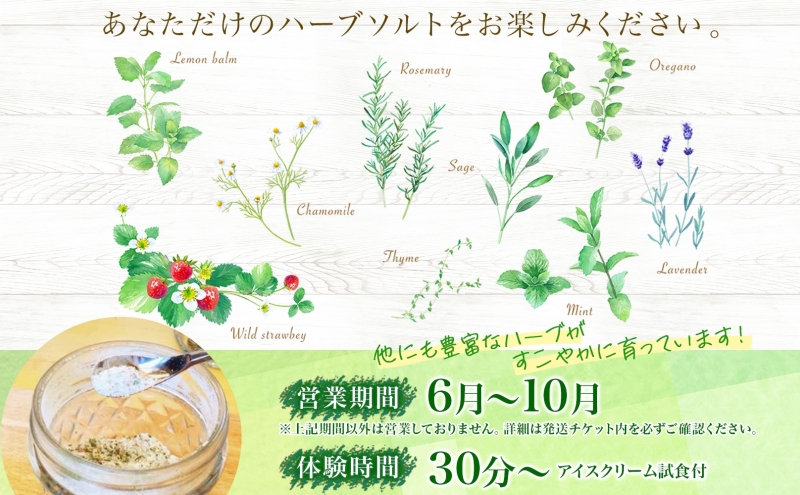 北海道 摘みたて ハーブソルト 作り 2枚 体験 ハーブ ソルト 塩 岩塩 調味料 調味塩 オリジナル  ハーブ畑 天然  乾燥ハーブ ドライハーブ 料理 ハーバルランチ 送料無料 洞爺湖