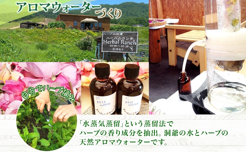 北海道 アロマ ウォーター 蒸留 摘みたて ハーブティー 体験2枚 ハーブ フレッシュ オリジナル  ハーブ畑 天然  リラックス 癒し リラクゼーション ハーバルランチ 送料無料 洞爺湖