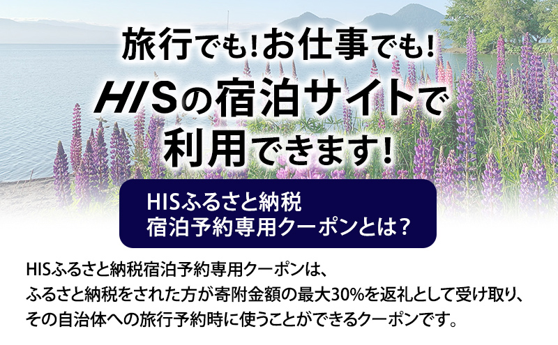 HISふるさと納税宿泊予約専用クーポン（北海道洞爺湖町）【3,000円分】 宿泊 ホテル 観光