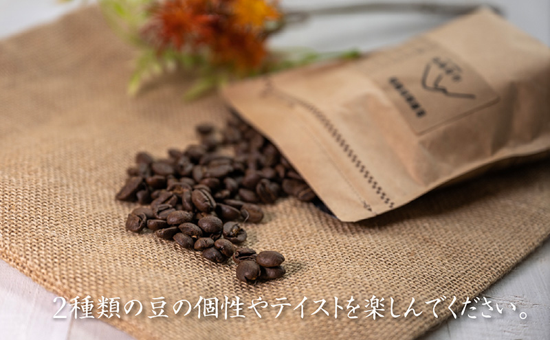 自家焙煎珈琲豆 2種レギュラーコーヒー飲み比べ（各100g×1袋）計200g 飲み物 飲料 良品な生豆 店内焙煎 新鮮 豊かな香り 2種類 個性 テイスト お楽しみ