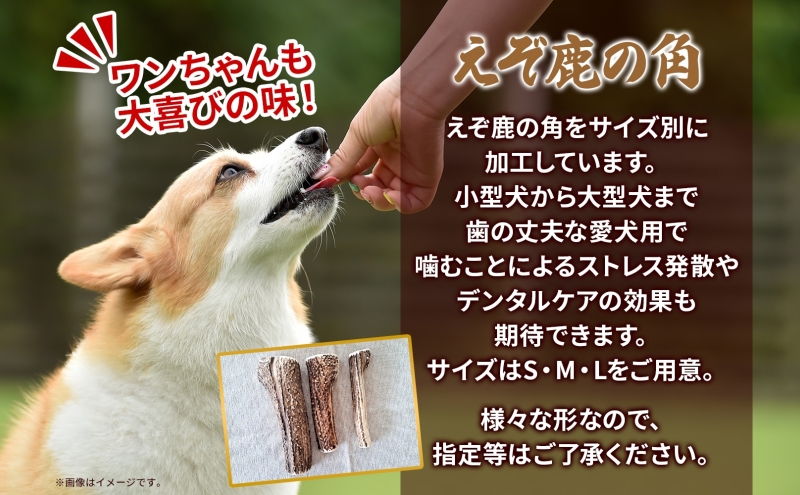 ペットのデンタルケア えぞ鹿の角 Sサイズ 2個 ストレス発散 デンタルケア おもちゃ 北海道 日高町