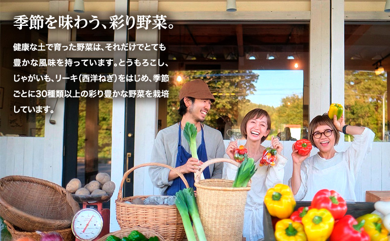 小笠原農園の有機野菜3種詰合せ（きたあかり1.5kg・玉ねぎ1.5kg・リーキ3kg）【北海道十勝幕別】《2025年秋出荷先行予約》【 野菜 芋 じゃがいも きたあかり 玉ねぎ たまねぎ ねぎ ネギ リーキ セット 北海道 幕別町 】