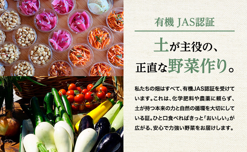 小笠原農園の有機野菜2種詰合せ(きたあかり3kg・玉ねぎ3kg)【北海道十勝幕別】《2025年秋出荷先行予約》【 野菜 芋 じゃがいも きたあかり 玉ねぎ たまねぎ セット 北海道 幕別町 】