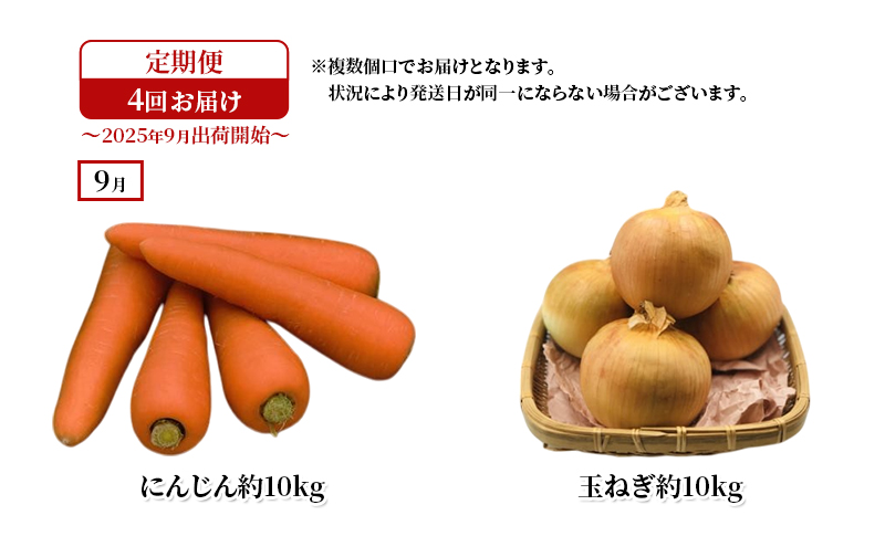 十勝幕別の定期便 秋野菜 年4回お届け 【お届け開始：2025年9月～】
