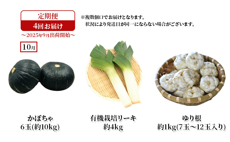十勝幕別の定期便 秋野菜 年4回お届け 【お届け開始：2025年9月～】