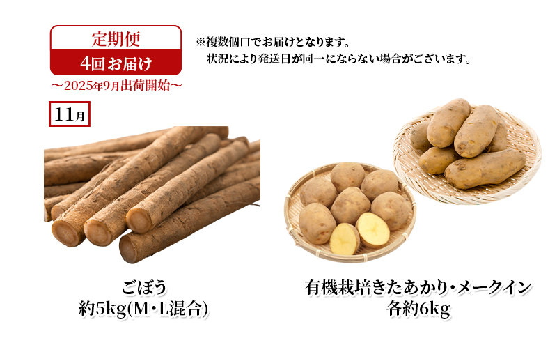 十勝幕別の定期便 秋野菜 年4回お届け 【お届け開始：2025年9月～】