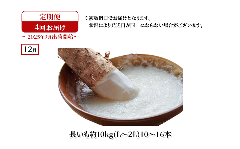 十勝幕別の定期便 秋野菜 年4回お届け 【お届け開始：2025年9月～】