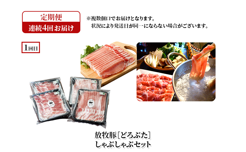 十勝幕別の定期便 ブランド放牧豚［どろぶた］堪能 食べ比べ 4回お届け セット　しゃぶしゃぶ ハンバーグ ソーセージ ジンギスカン