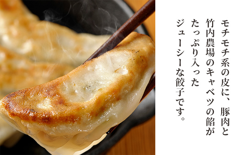 ボリューム満点 手作り冷凍餃子 15個（2～3人前）×1袋［錦華園］【 野菜 キャベツ たっぷり 厚い 手包み 手作り もちもち モチモチ 汁 町中華 中華 北海道 十勝 幕別 】