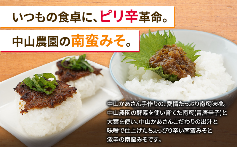 十勝 幕別 中山かあさんの南蛮みそ 辛口・激辛 各1セット（1瓶150g）【 白米 米 パスタ 十勝 おにぎり きゅうり 南蛮みそ 南蛮 味噌 青唐辛子 ご飯のお供 大葉 しそ おつまみ 国産 無着色 無添加 北海道 】