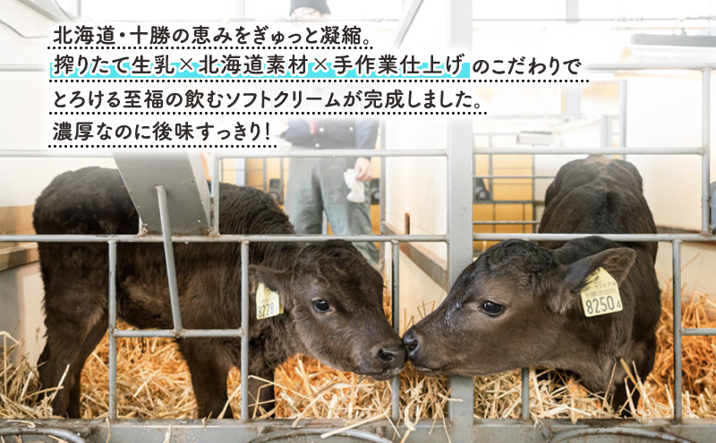【十勝産生乳100％】 飲むソフトクリーム 100ml×12個 ちゅ～ちゅ～ソフト（プレミアムミルク）【 バター 仕込み ジェラート アイス ミルク アイスクリーム ソフトクリーム デザート スイーツ おやつ ミルク 詰め合わせ 北海道 十勝 幕別 】