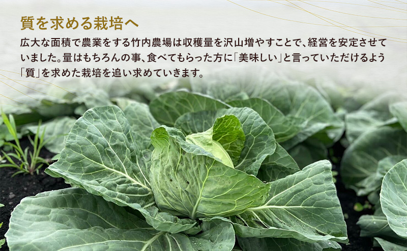 北海道 十勝 幕別町産 キャベツ 4玉 【 野菜 サラダ 産地直送 竹内農場 きゃべつ 葉野菜 ロールキャベツ 千切り 】