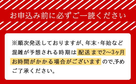 [大人気ハンバーグの定期便] 全2回/4ヶ月毎 合計44個 北海道 十勝牛 手ごねハンバーグ 200g×22個【 セット 牛100% 国産牛 牛肉 ハンバーグ パティ パテ 惣菜 小分け 冷凍 大きい 国産 北海道 十勝 幕別 ふるさと納税 送料無料 】