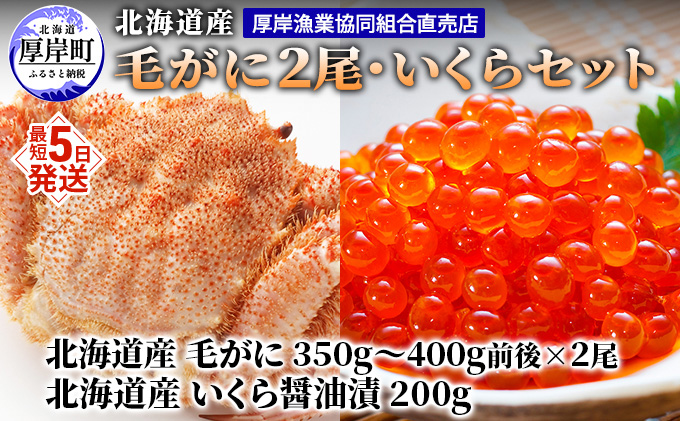 厚岸漁協イチオシ！【3D冷凍】北海道産 毛がに（約350g～400g）2尾・いくら200gセット 毛カニ 蟹 毛蟹 魚卵 魚介類 魚介