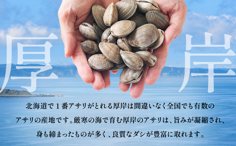 1月発送 北海道 厚岸産 訳あり 活あさり 500g×2 (合計1kg) アサリ 魚貝 海鮮 大粒 美味しい 栄養 旨み 砂出し 水洗い 冷蔵 冷凍保存可能 便利