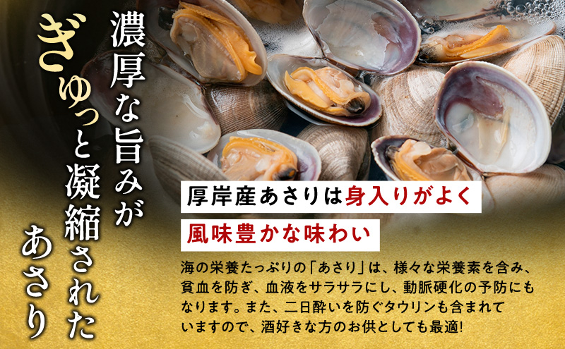 1月発送 北海道 厚岸産 訳あり 活あさり 500g  アサリ 魚貝 海鮮 大粒 美味しい 栄養 旨み 砂出し 水洗い 冷蔵 冷凍保存可能 便利