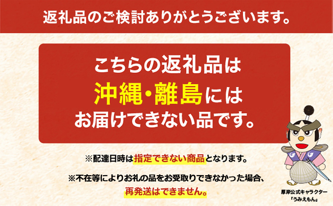 季節限定 北海道 厚岸産 浜茹で 北海しまえび（中サイズ）500g×1パック 海老