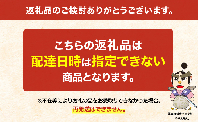 北海道 厚岸産 殻付き 牡蠣 LLサイズ 40個