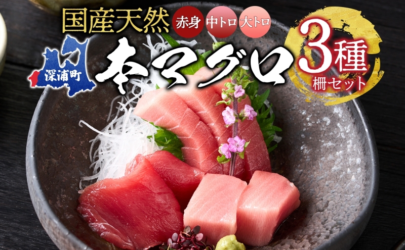 天然 本マグロ 赤身 中トロ 大トロ 3種セット 国産 本鮪 まぐろ マグロ クロマグロ 鮪 刺身 丼ぶり 寿司 海鮮 魚介 贅沢 お取り寄せ 詰め合わせ グルメ 産地直送 送料無料 冷凍 あおもり海山 青森県 深浦町