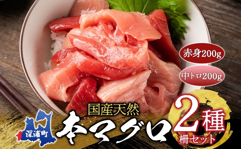天然 本マグロ 赤身 中トロ 2種セット 国産 本鮪 まぐろ マグロ クロマグロ 鮪 刺身 丼ぶり 寿司 海鮮 魚介 贅沢 お取り寄せ 詰め合わせ グルメ 産地直送 送料無料 冷凍 あおもり海山 青森県 深浦町