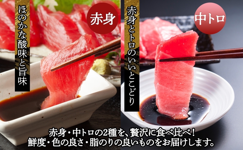 天然 本マグロ 赤身 中トロ 2種セット 国産 本鮪 まぐろ マグロ クロマグロ 鮪 刺身 丼ぶり 寿司 海鮮 魚介 贅沢 お取り寄せ 詰め合わせ グルメ 産地直送 送料無料 冷凍 あおもり海山 青森県 深浦町