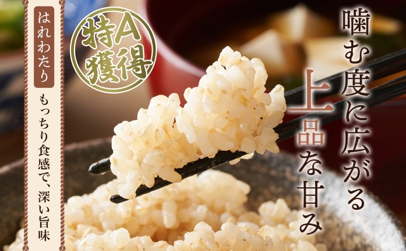 青森ブランド米 はれわたり 玄米 1袋 5kg 米 お米 コメ こめ 食品 ご飯 ごはん 和食 甘み 国産 送料無料 青森県 深浦町産