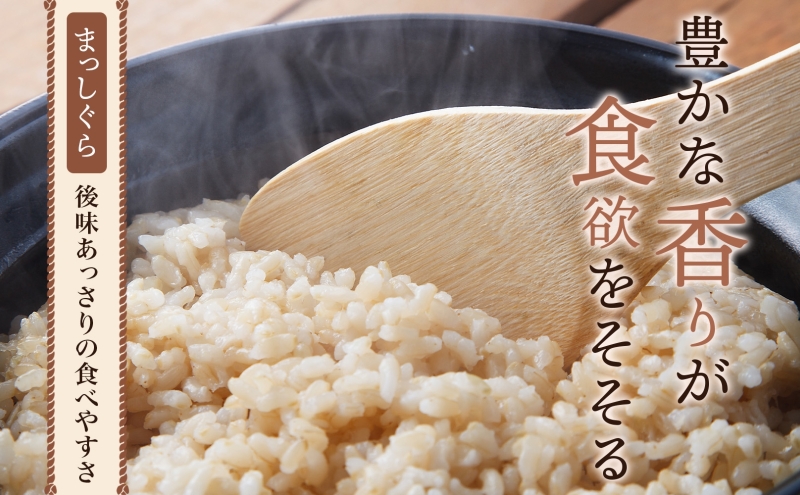 青森ブランド米 まっしぐら 玄米10kg 玄米 1袋 5kg 米 お米 コメ こめ 食品 ご飯 ごはん 和食 香り 炊き立て 国産 送料無料 つややか 青森県 深浦町産