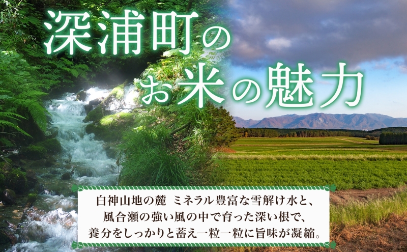 青森ブランド米 まっしぐら 玄米10kg 玄米 1袋 5kg 米 お米 コメ こめ 食品 ご飯 ごはん 和食 香り 炊き立て 国産 送料無料 つややか 青森県 深浦町産