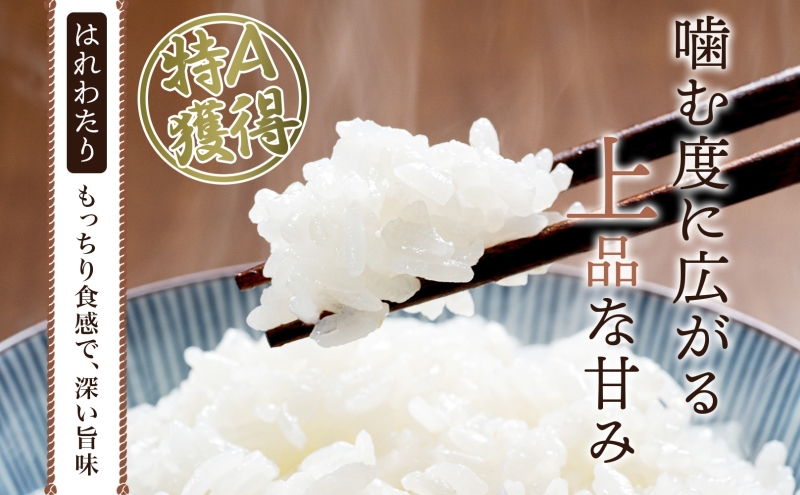 青森ブランド米 はれわたり10kg 1袋 5kg 米 お米 コメ こめ 食品 ご飯 ごはん 和食 甘み 国産 送料無料 青森県 深浦町産