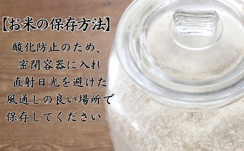 数量限定【令和6年産米・先行予約】青森ブランド米 まっしぐら