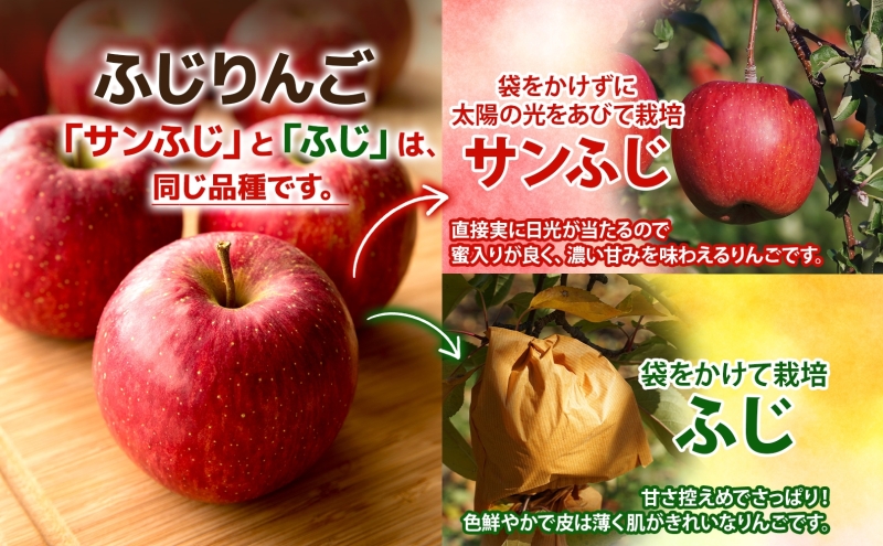 贈答用 ふじ 5kg ふじりんご りんご リンゴ 林檎  果物 フルーツ くだもの お取り寄せ 贈り物 プレゼント 産地直送 送料無料 青森県 西目屋村 お届け：5月下旬から随時お届け