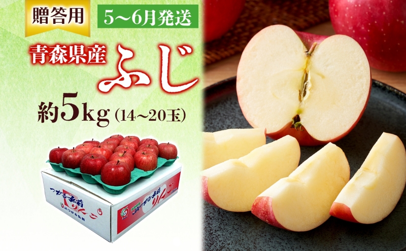 贈答用 ふじ 5kg ふじりんご りんご リンゴ 林檎  果物 フルーツ くだもの お取り寄せ 贈り物 プレゼント 産地直送 送料無料 青森県 西目屋村 お届け：5月下旬から随時お届け