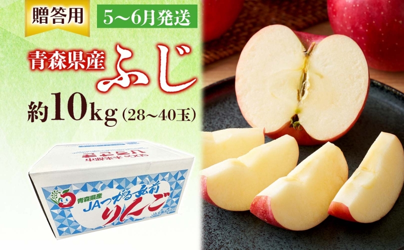 贈答用 ふじ 10kg ふじりんご りんご リンゴ 青森 林檎 果物 フルーツ くだもの お取り寄せ 贈り物 プレゼント 産地直送 送料無料 青森県 西目屋村 お届け：5月下旬から随時お届け