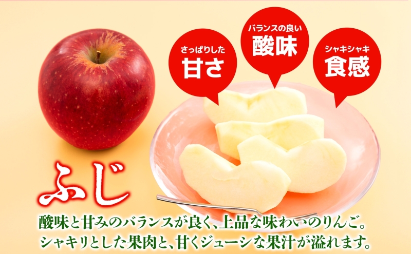 家庭用 ふじ 約10kg ふじりんご りんご リンゴ 青森 林檎 果物 フルーツ くだもの お取り寄せ 贈り物 産地直送 送料無料 青森県 西目屋村 お届け：5月下旬から随時お届け