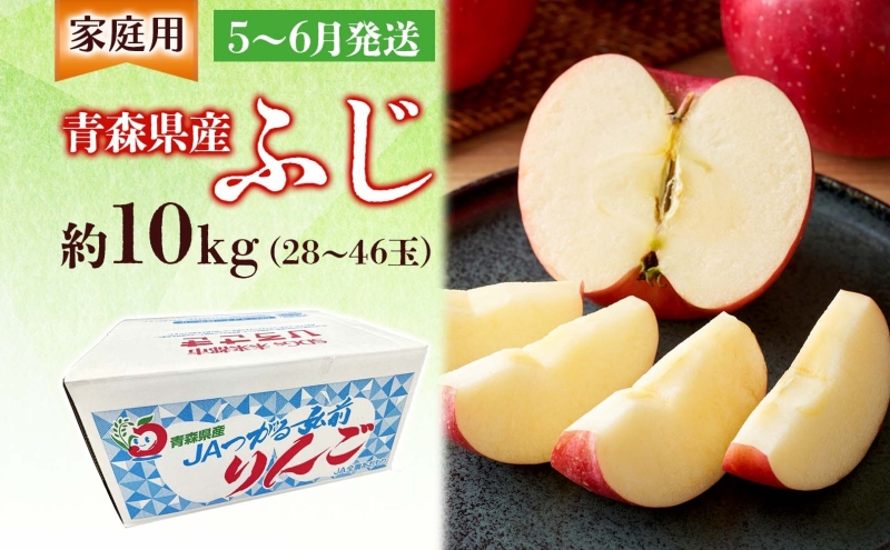 家庭用 ふじ 約10kg ふじりんご りんご リンゴ 青森 林檎 果物 フルーツ くだもの お取り寄せ 贈り物 産地直送 送料無料 青森県 西目屋村 お届け：5月下旬から随時お届け