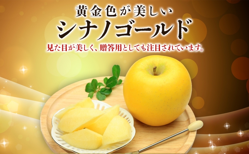 贈答用 シナノゴールド 約10kg りんご リンゴ 青森 林檎 果物 フルーツ くだもの お取り寄せ 贈り物 プレゼント 産地直送 送料無料 青森県 西目屋村 お届け：5月下旬から随時お届け